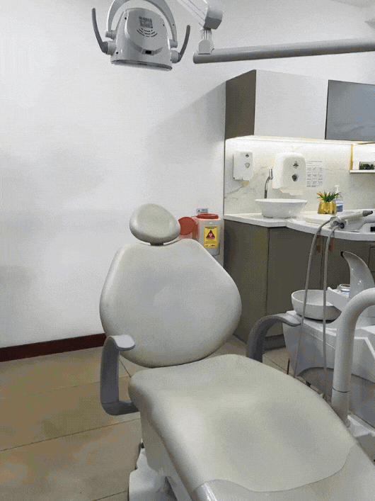 Dental 360